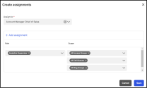 AdminnConsole - Grant full or limited access access 